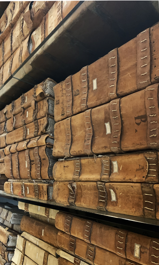 Collection Monte dei Paschi, Historical Archives of the Bank's Registers