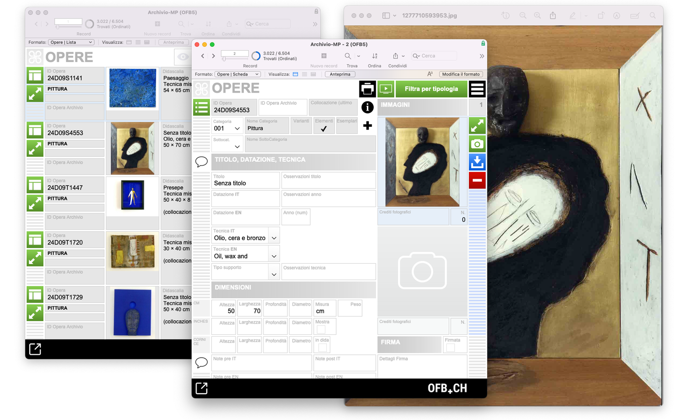 Archivio Mimmo Paladino, Le opereLa sezione dedicata alle opere della galleria consente la schedatura particolareggiata del bene secondo le logiche funzionali dell'archivio.
